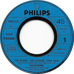 Un Banc Un Arbre Une Rue