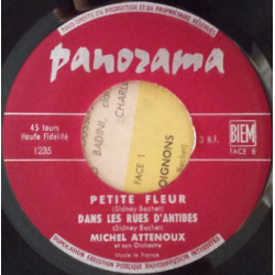 Hommage À Sidney Bechet