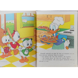 Donald et l'invite surprise
