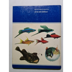 La vie des poissons