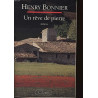 Un rêve de pierre