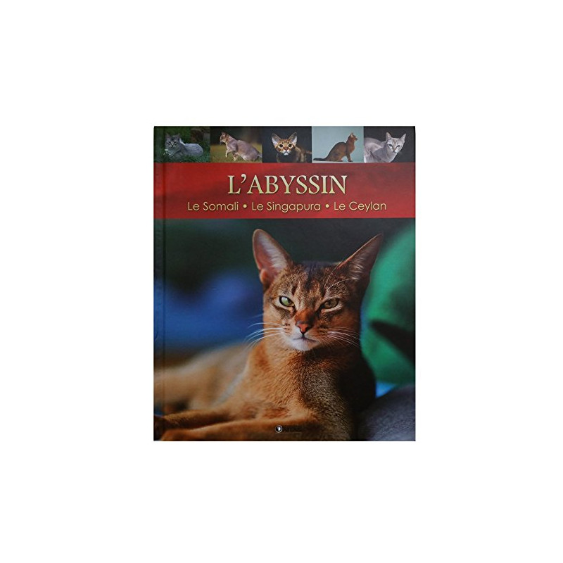L'abyssin-le somali-le singapura-le ceylan