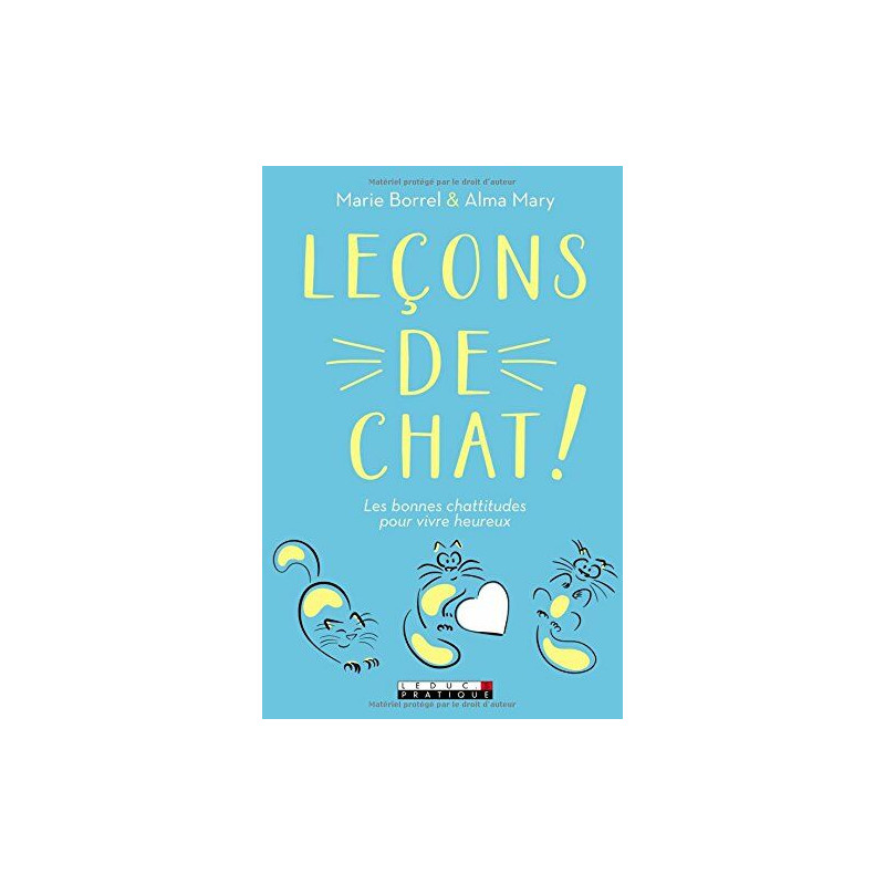 Leçons de chat