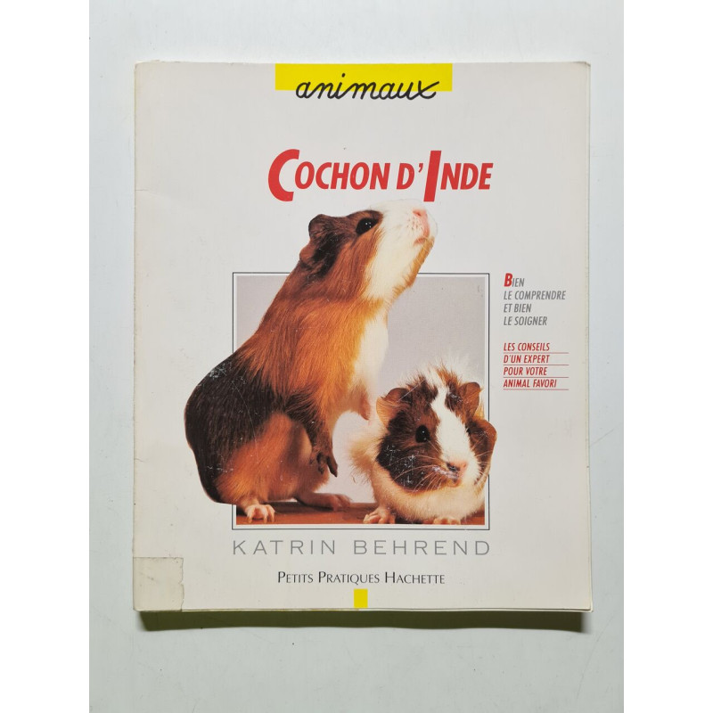 Cochon d'Inde