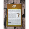Le guide du potager nº 29