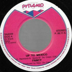 Up To Mexico / Non Stop Lover