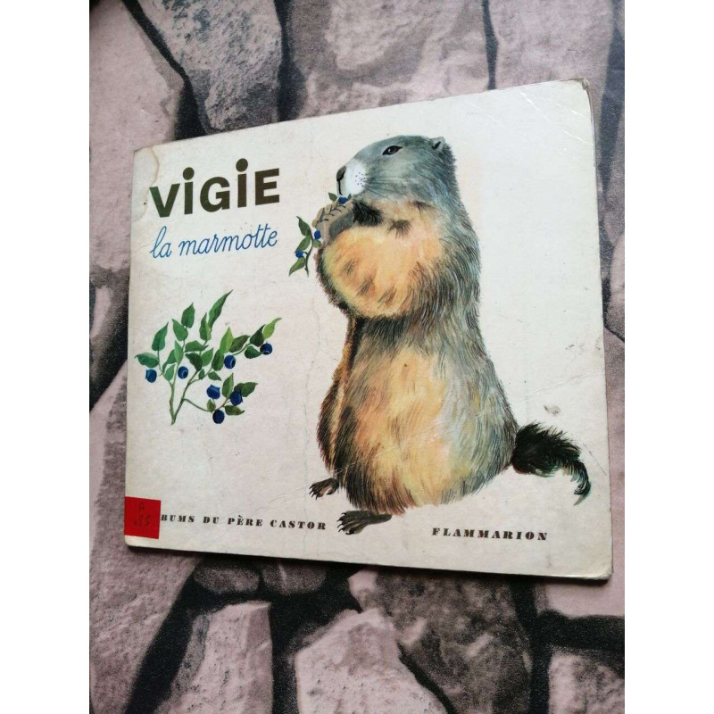 Vigie la marmotte