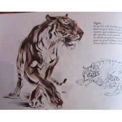 DES ANIMAUX SAUVAGES VUS PAR UN ARTISTE