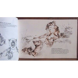 DES ANIMAUX SAUVAGES VUS PAR UN ARTISTE