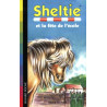 Sheltie Tome 17 : Sheltie et la fête de l'école