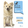 Et si on achetait un chien