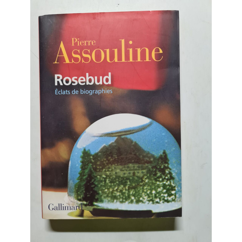 Rosebud: Éclats de biographies