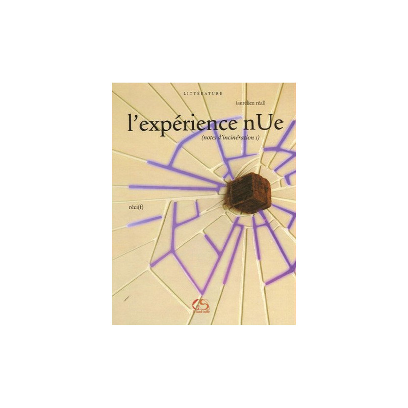 L'expérience nUe : (notes d'incinération I)