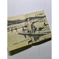 A l'orée de la forêt vierge