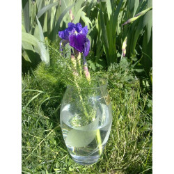 Vase en cristal avec motif floral taillé à la main Hauteur 22 cm...