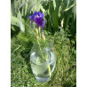 Vase en cristal avec motif floral taillé à la main Hauteur 22 cm...