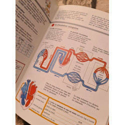 Le livre compagnon - HISTOIRE MATHEMATIQUES GEOGRAPHIE FRANCAIS...