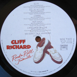 Rock'n Roll Juvenile