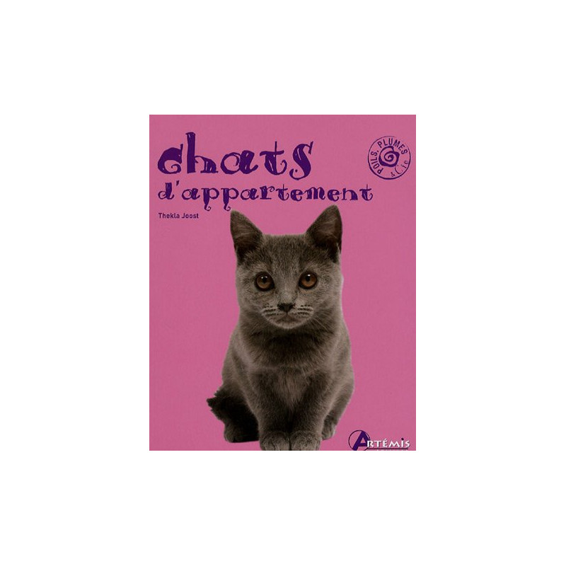 Chats d'appartement
