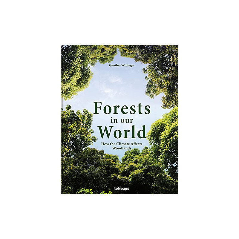 Forests in Our World - How the Climate Affects Woodlands