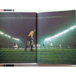 Larousse du football