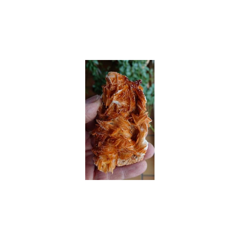 Barytine vanadinite Mibladen MAROC RBV3 187g 85mm50mm