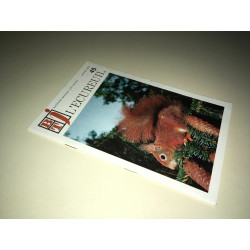 BTJ revue BIBLIOTHEQUE DE TRAVAIL JUNIOR No 45 DE L'ECUREUIL