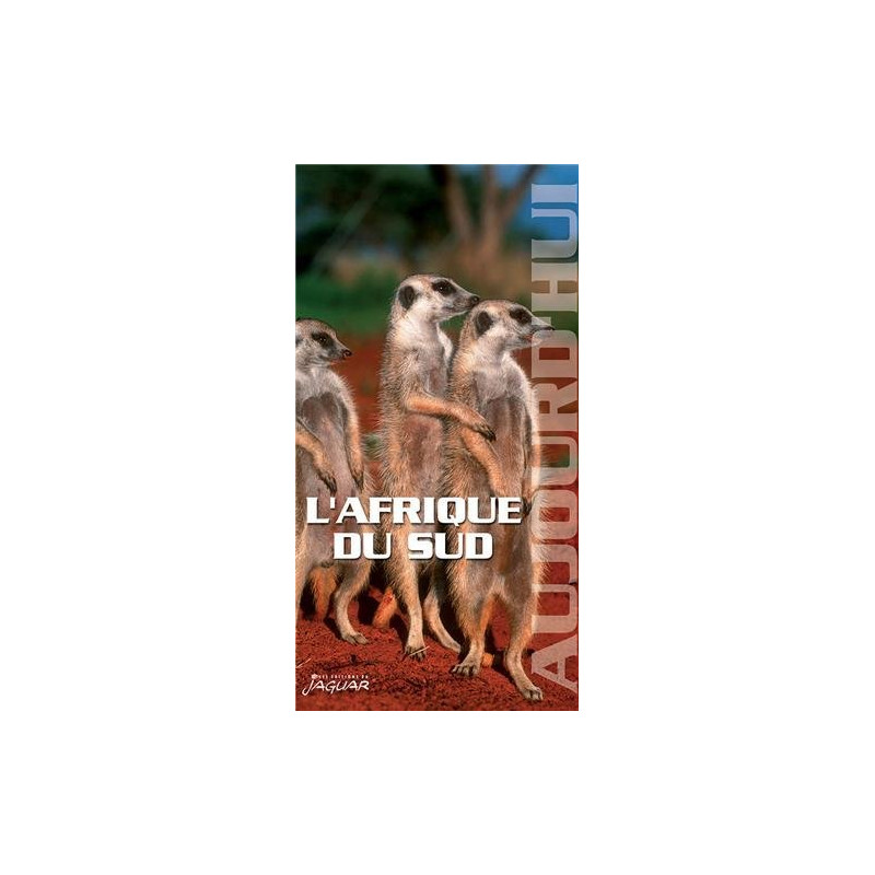 L'afrique du sud aujourd'hui
