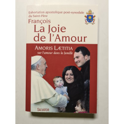 La joie de l'amour. Amoris Laetitia sur l'amour dans la famille