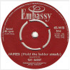 Bobby's Girl / James (Hold The Ladder Steady)