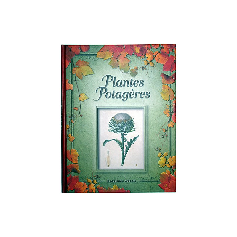Plantes potagères
