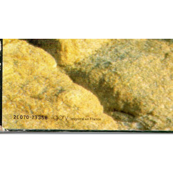 Cinquante Ans D'amour