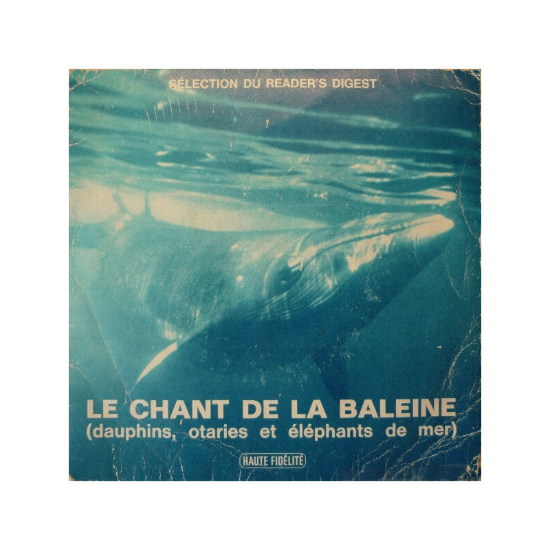 Le Chant De La Baleine