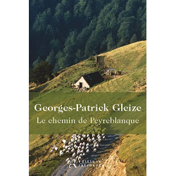 Le chemin de Peyreblanque