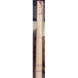 LE VENERABLE GERONIMO - LE MARTYR DU FORT DES XXIV HEURES A ALGER