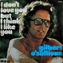 I Don't Love You But I Think I Like You