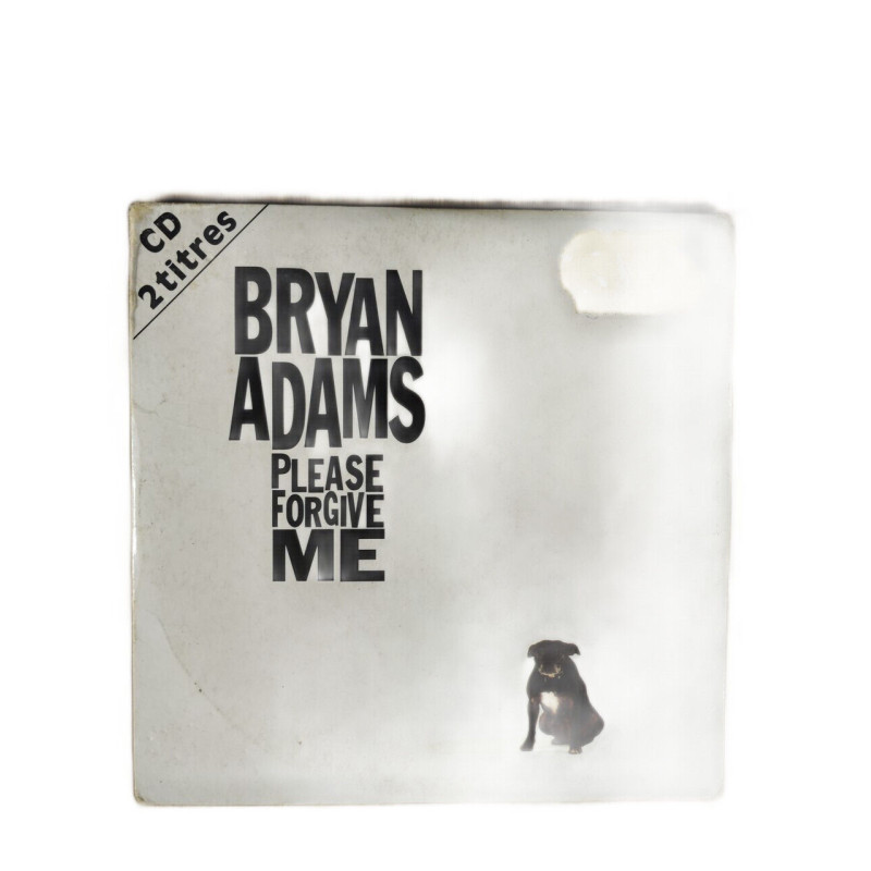 Bryan adams please forgive me