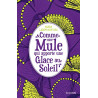 Comme une mule qui apporte une glace au soleil