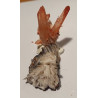 Lot de 2 Quartz hematoïde vanadinite sur barytine QHVB 9