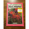 Fuchsias