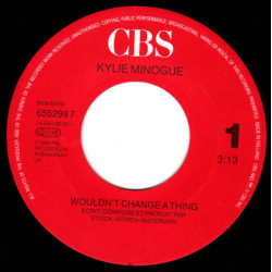 Wouldn't Change A Thing