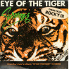Eye Of The Tiger (Theme From Rocky III)