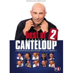 Nicolas Canteloup dans Vivement Dimanche : best of n°2