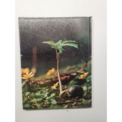 Mon premier livre des connaissances