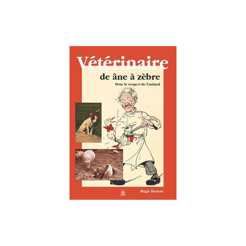 Vétérinaire de âne à zèbre : Pour le respect de l'animal