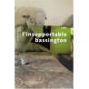 L'insupportable Bassington : Suivi de quatre nouvelles inédites