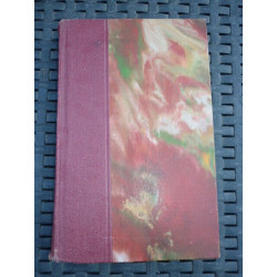 t bernard HIRONDELLES DE PLAGES