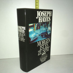 MORGEN IST ES ZU spät roman en allemand