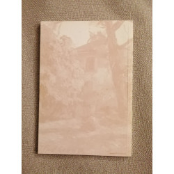 Le paradis fouillis Poèmes V