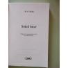 Soleil brisé